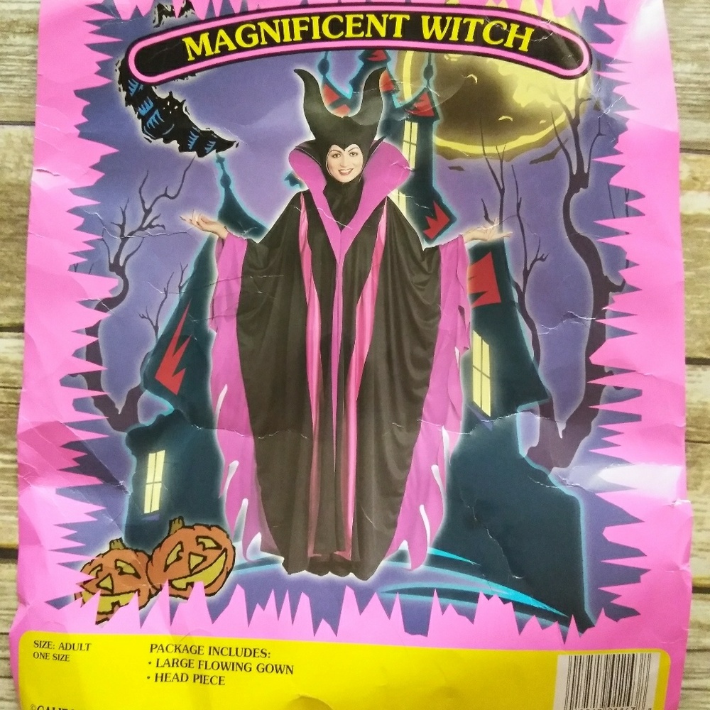 Adult Magnificent Witch Costume